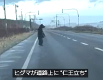 勬